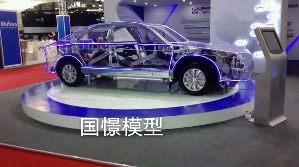 麻阳透明车模型